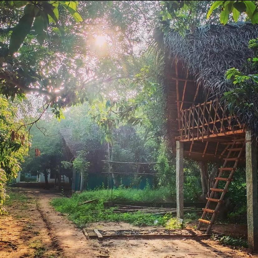 Art Forest Pondicherry Bagian luar foto
