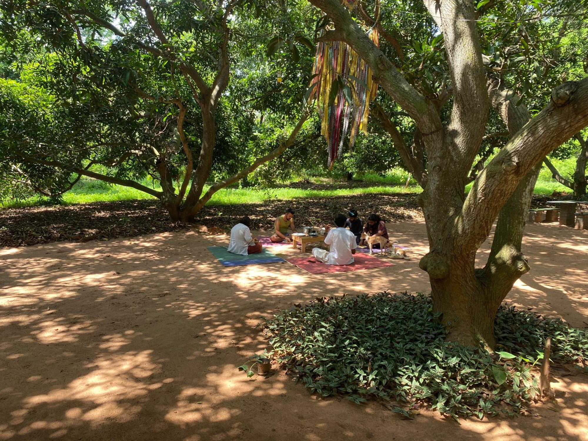 Art Forest Pondicherry Bagian luar foto