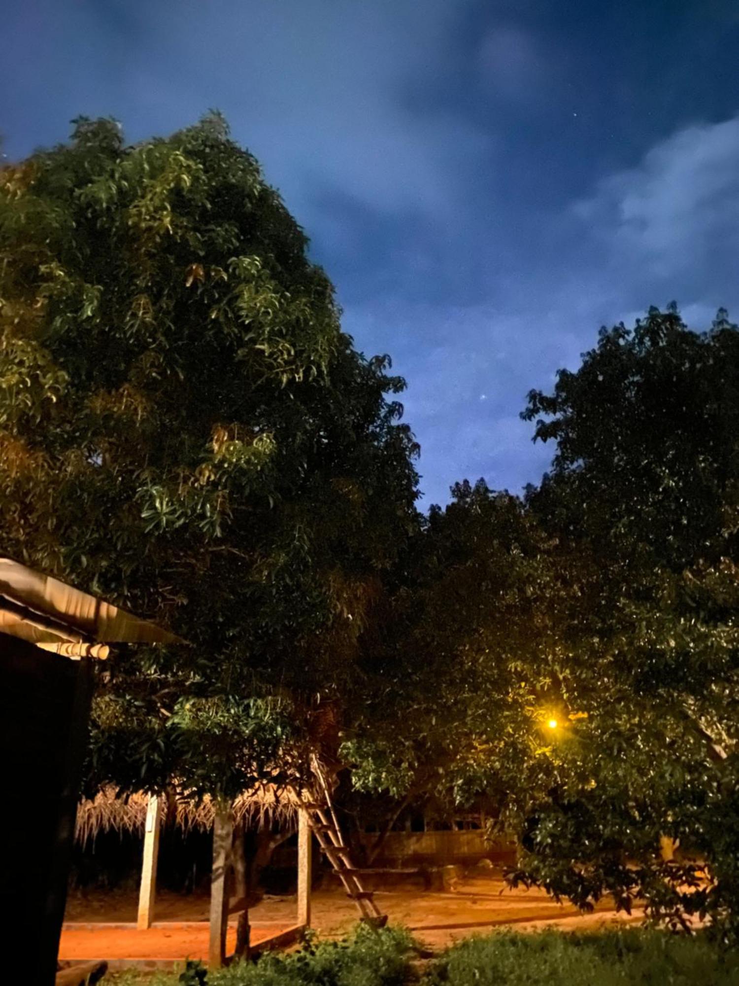 Art Forest Pondicherry Bagian luar foto